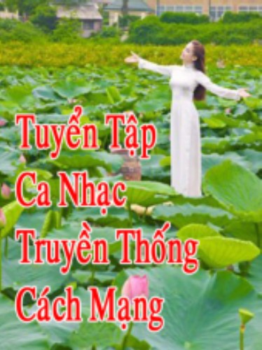 Tuyển Tập Nhạc 