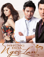 Những Đóa Ngọc Lan